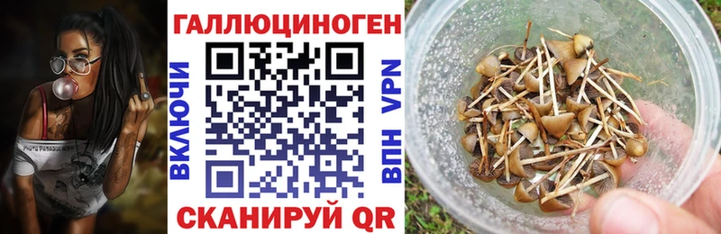 Псилоцибиновые грибы прущие грибы Гаврилов Посад